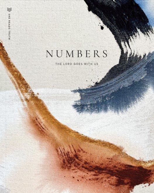 Numbers book cover