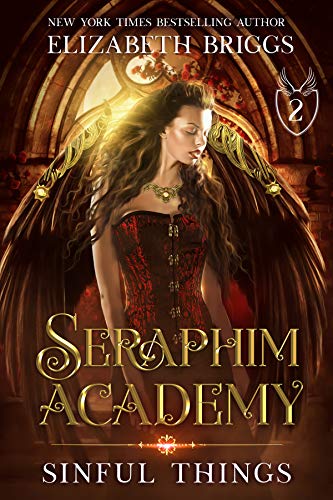 Seraphim Academy book cover 2