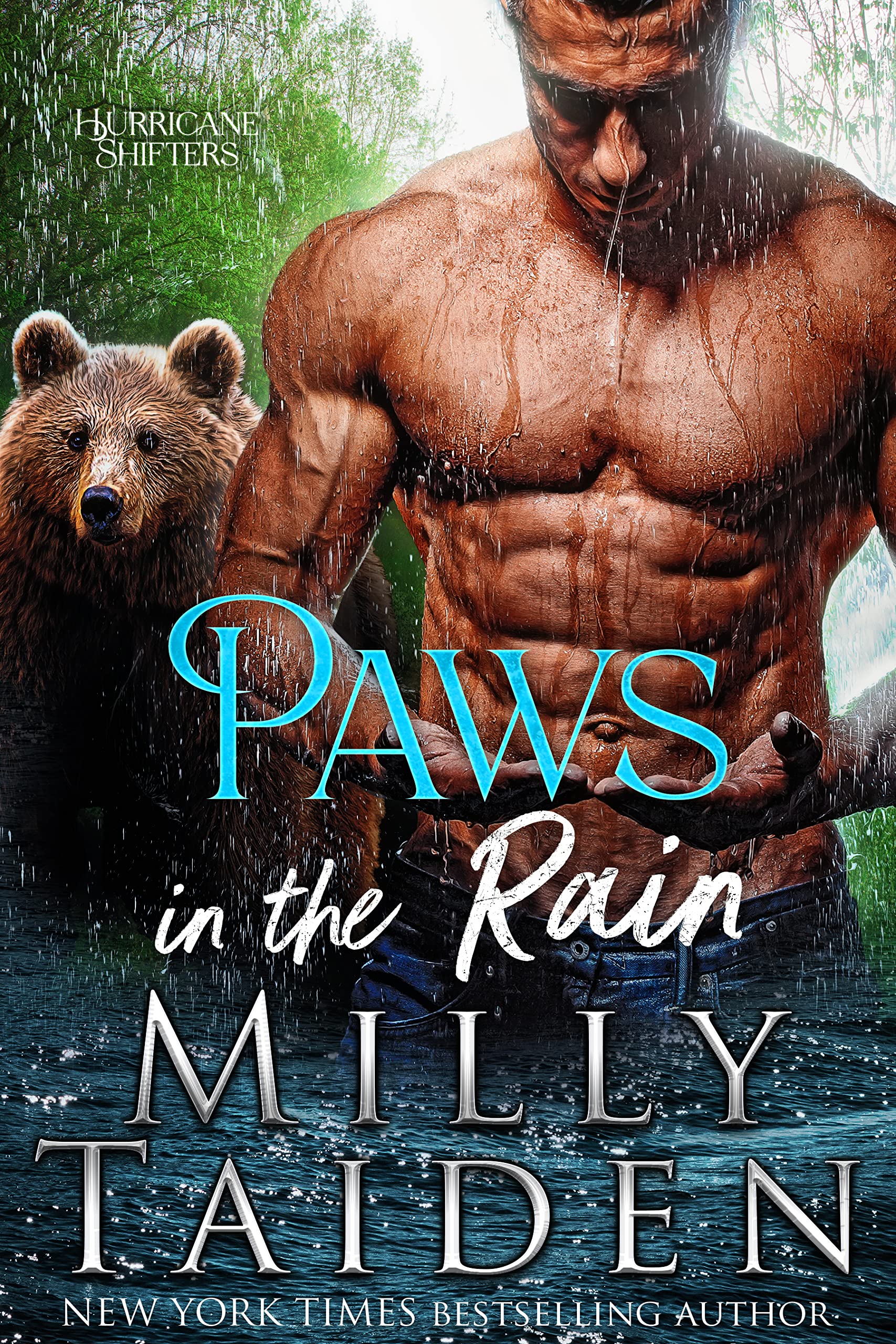 Paws in the Rain book cover