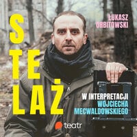 Stelaż book cover