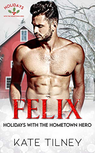 Holidays with the Hometown Hero book cover 1