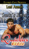 Santa's X-mas book cover