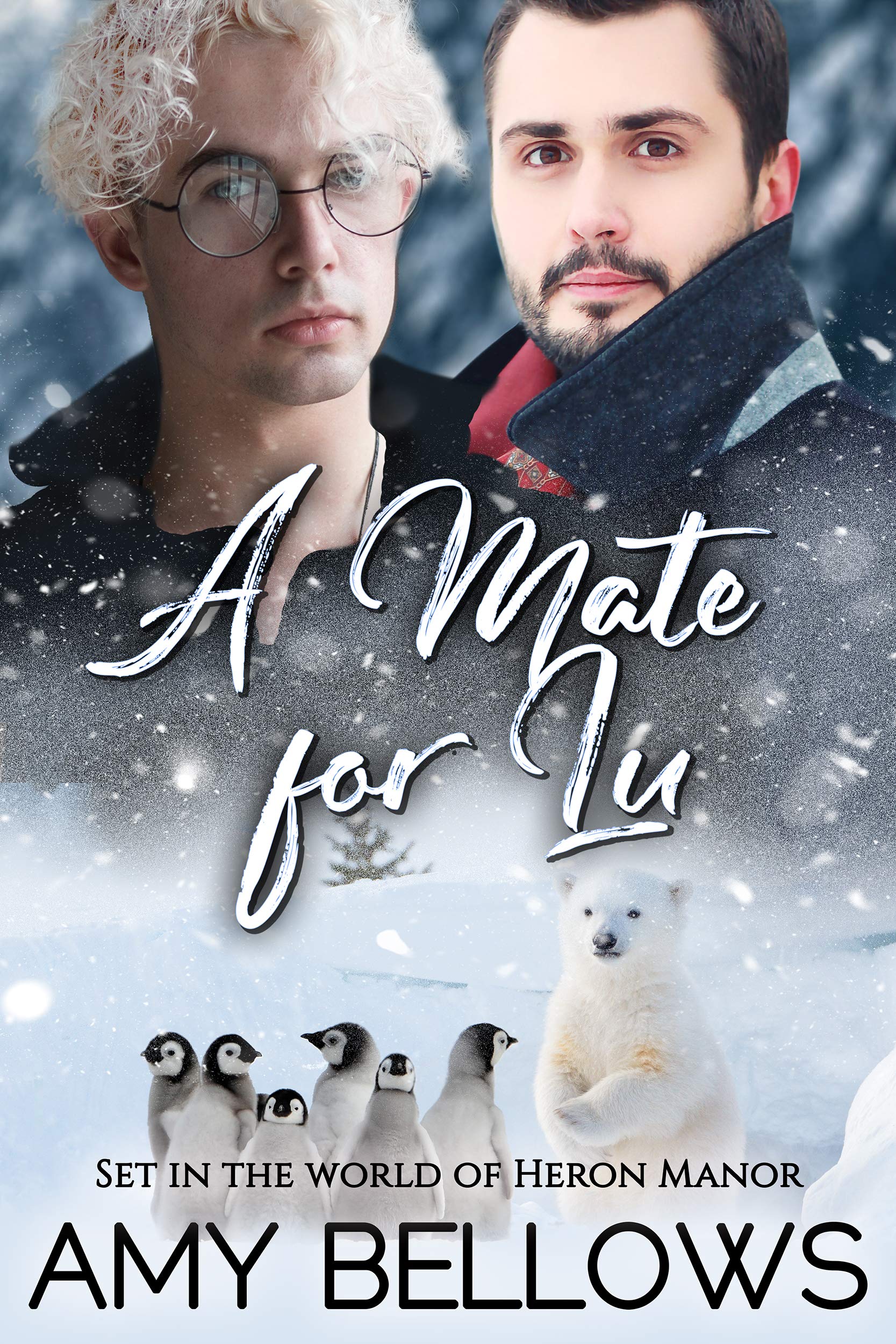 A Mate for Lu book cover