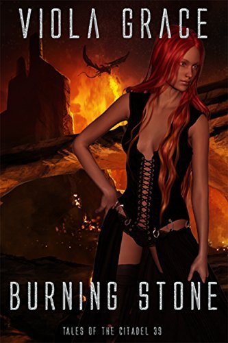 Burning Stone book cover