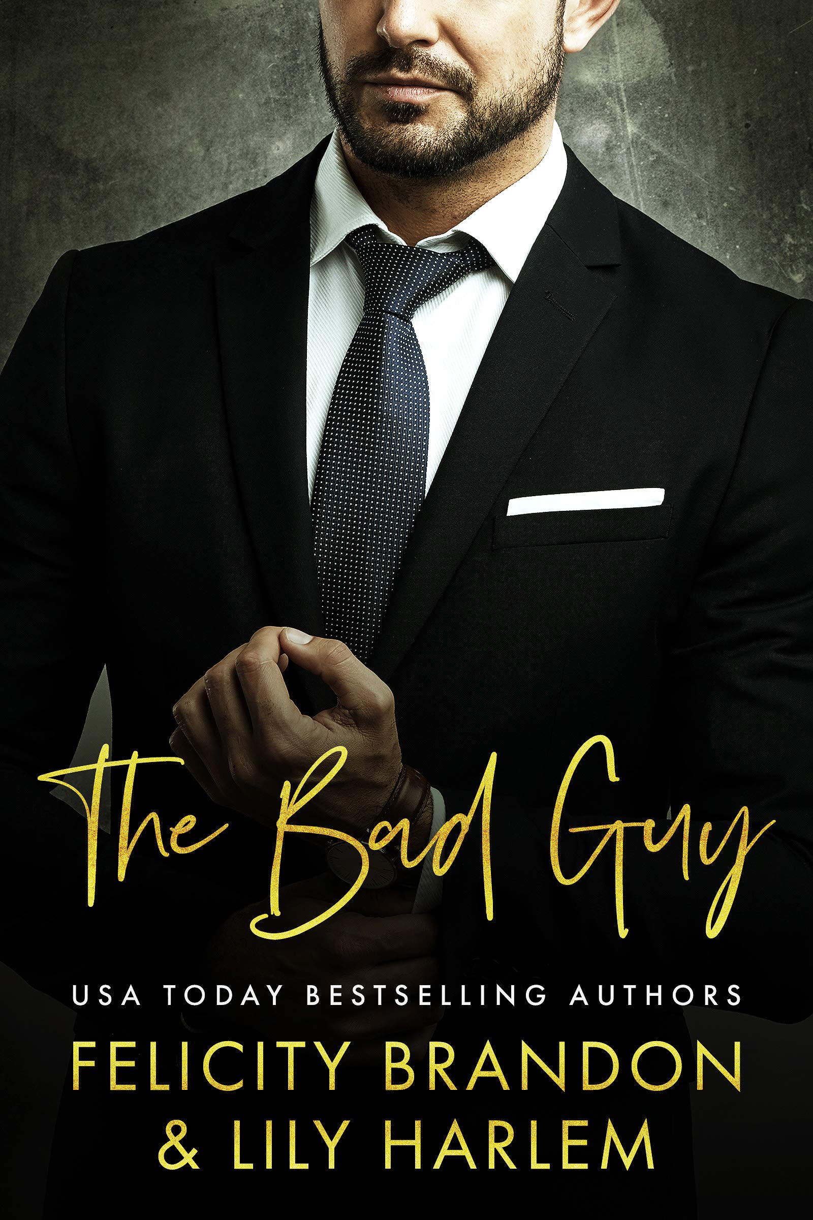 The Bad Guy book cover