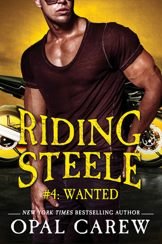 Riding Steele book cover 3