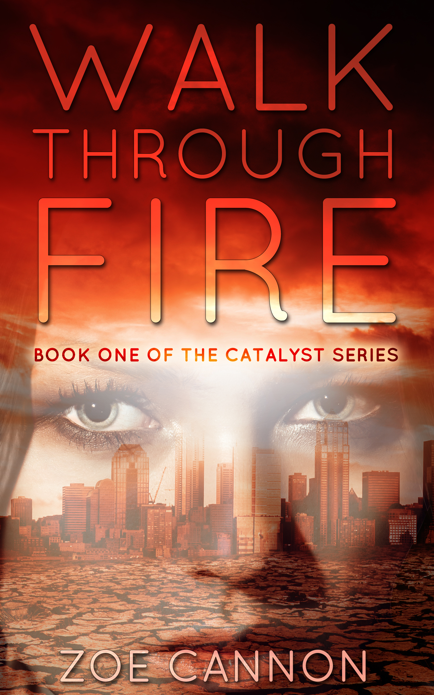 Catalyst book cover 1