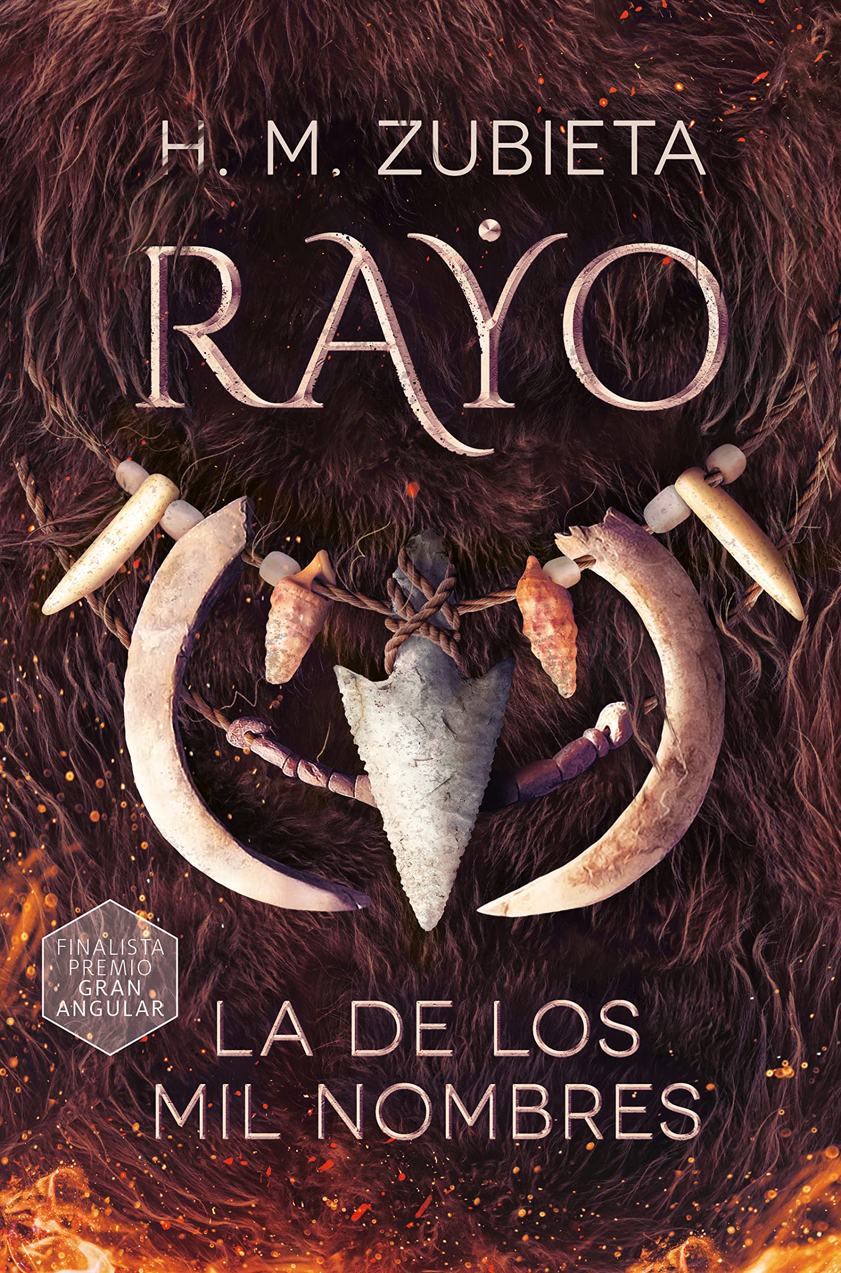 Rayo, la de los mil nombres book cover