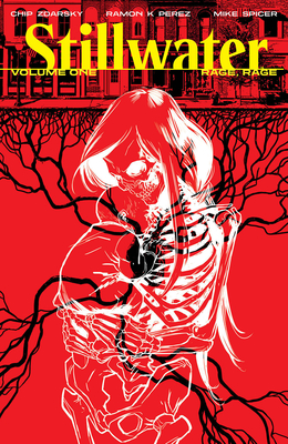 Stillwater book cover 1