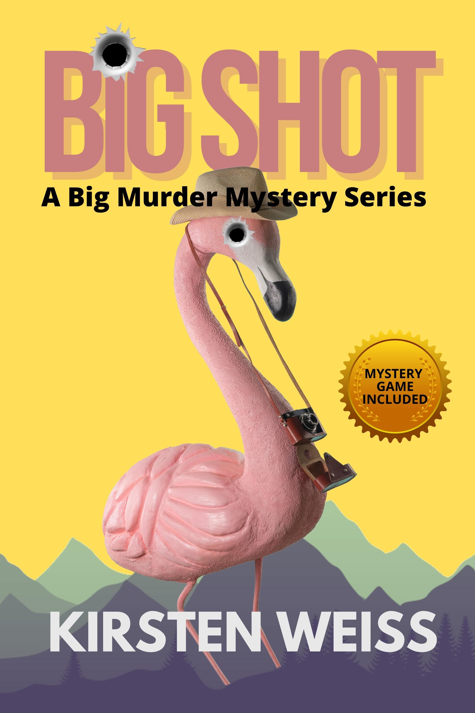 A Big Murder Mystery book cover 1