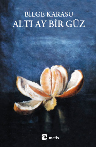 Altı Ay Bir Güz book cover