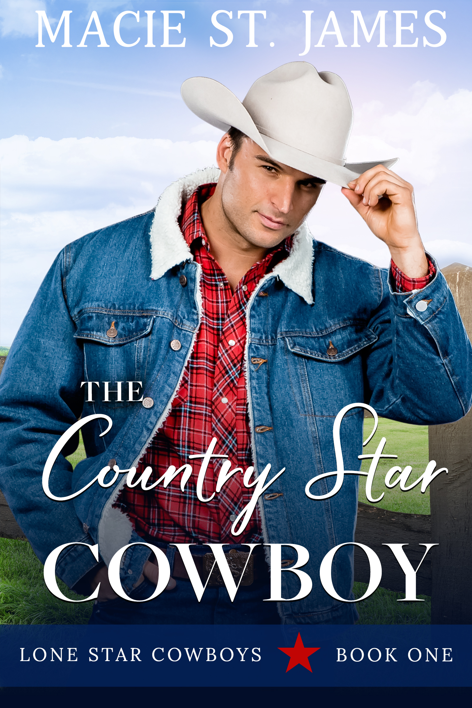 Lone Star Cowboys book cover 1