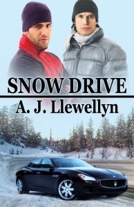 Snow Drive book cover