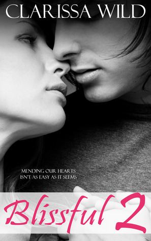 Blissful book cover 2