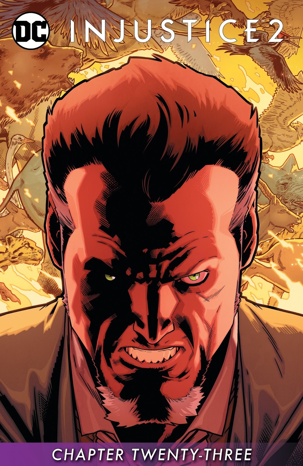 Injustice 2 #23 book cover