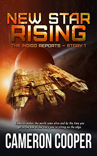 The Indigo Reports book cover 1