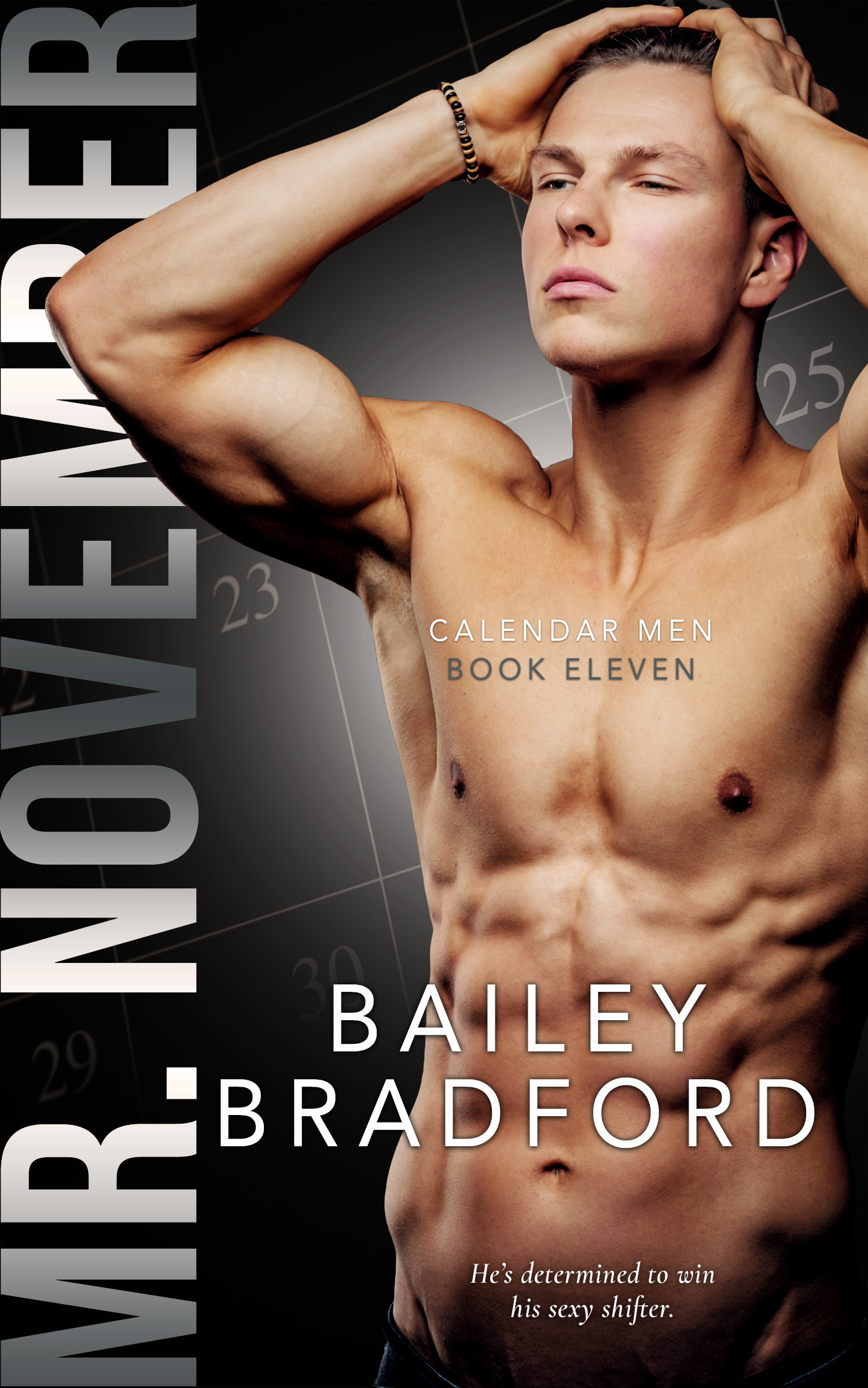 Mr. November book cover