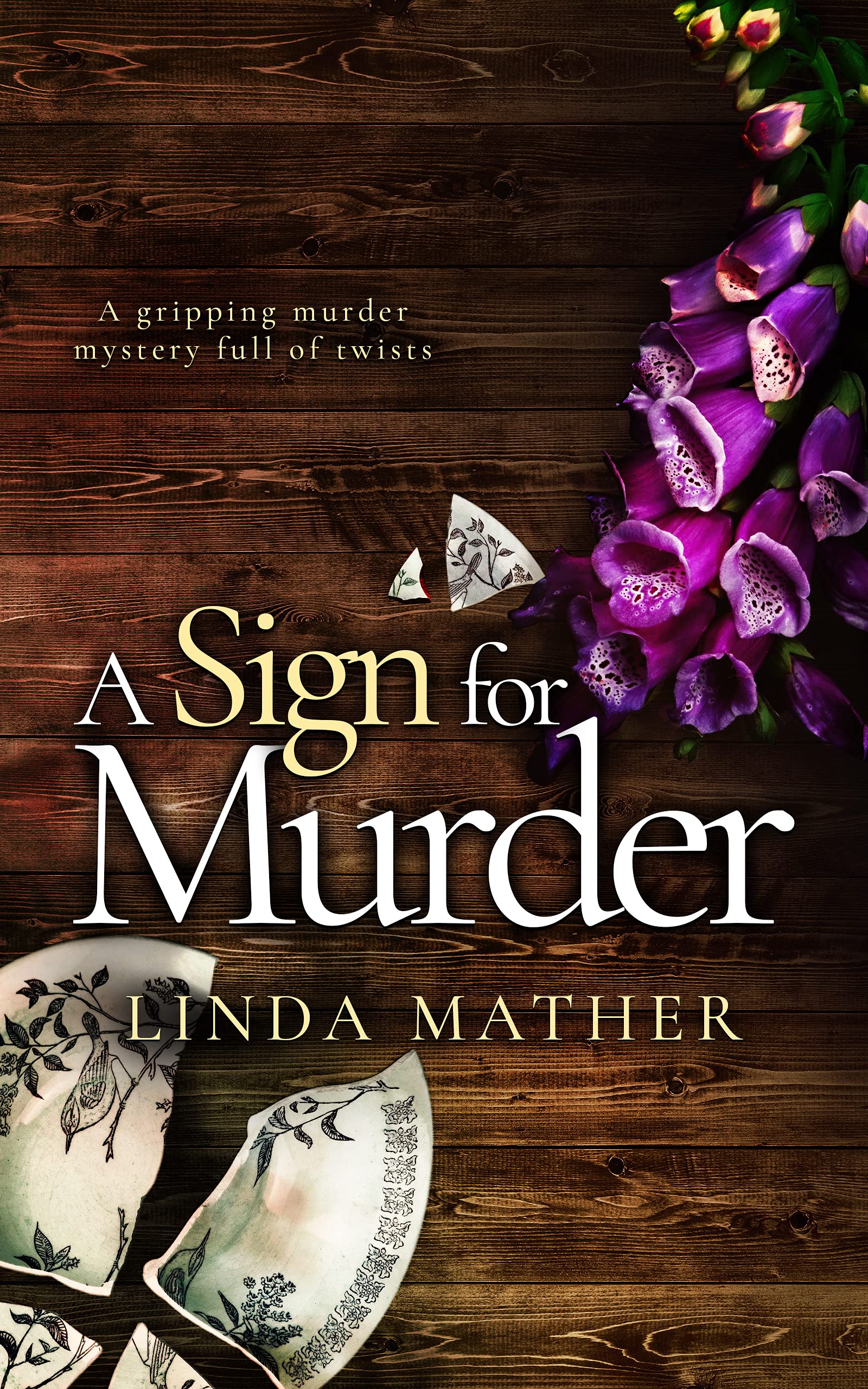 Jo and Macy Mysteries book cover 2