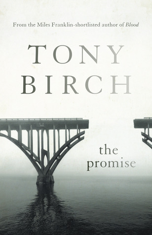 The Promise book cover