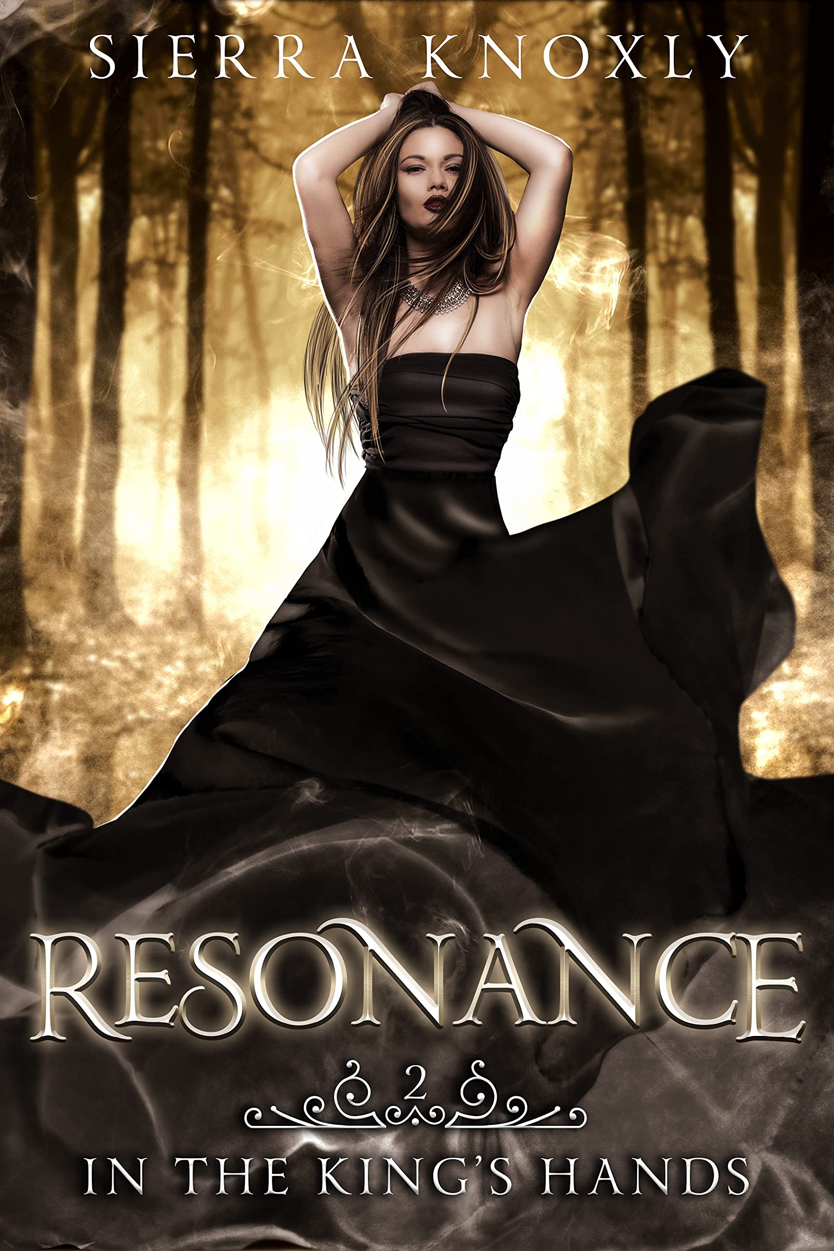 In the King's Hands book cover 2