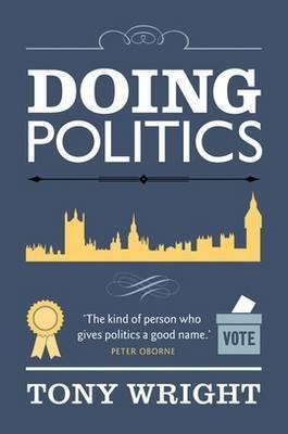 Doing Politics book cover