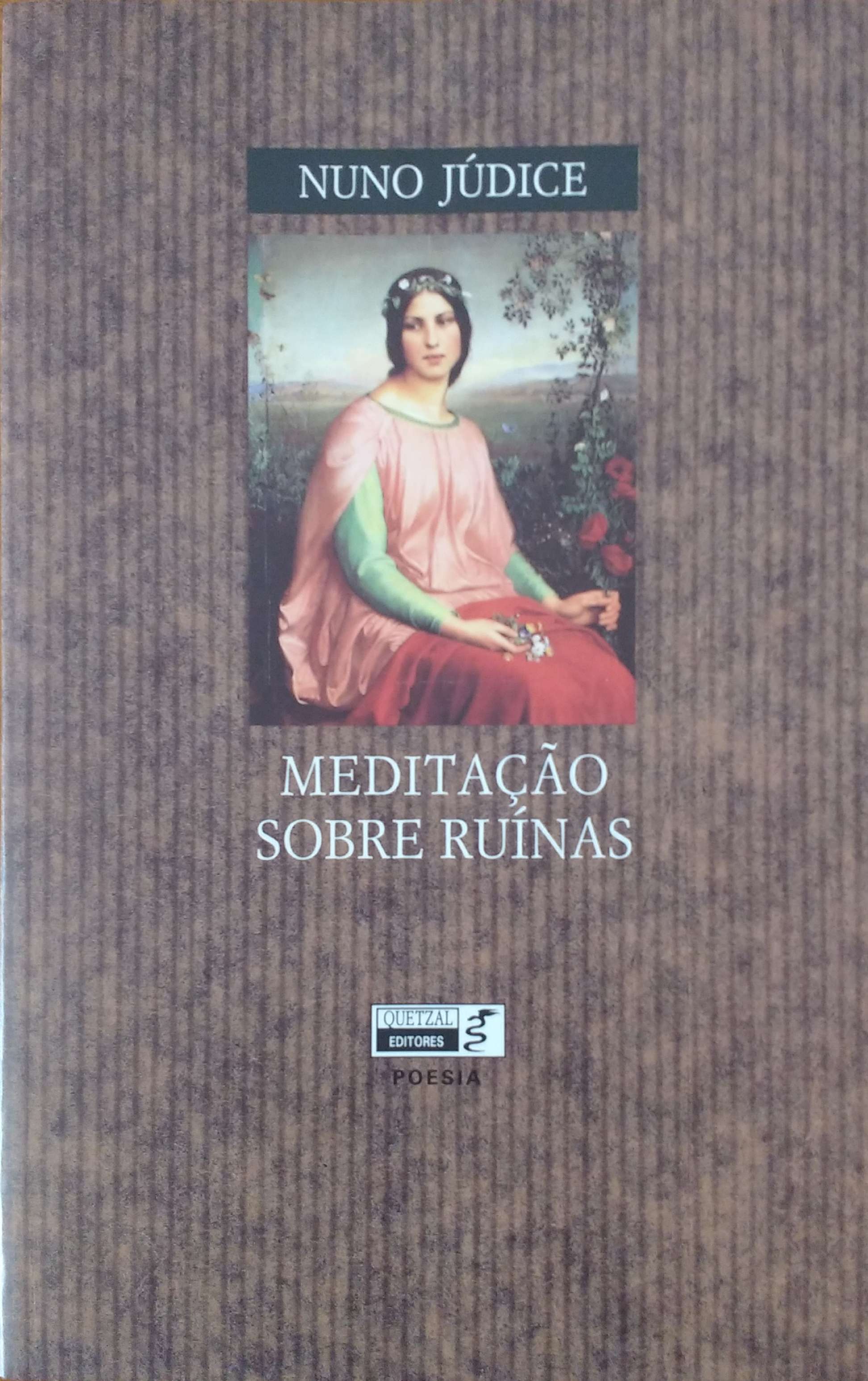 Meditação Sobre Ruínas book cover