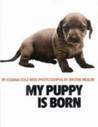 My Puppy Is Born book cover