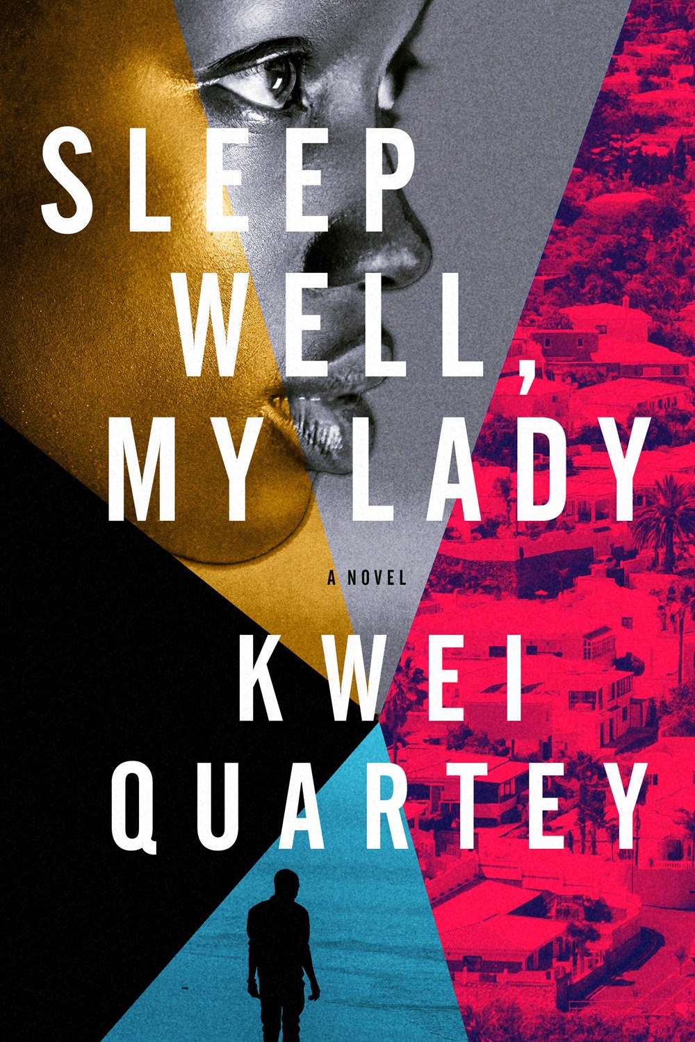 Emma Djan Investigation book cover 2