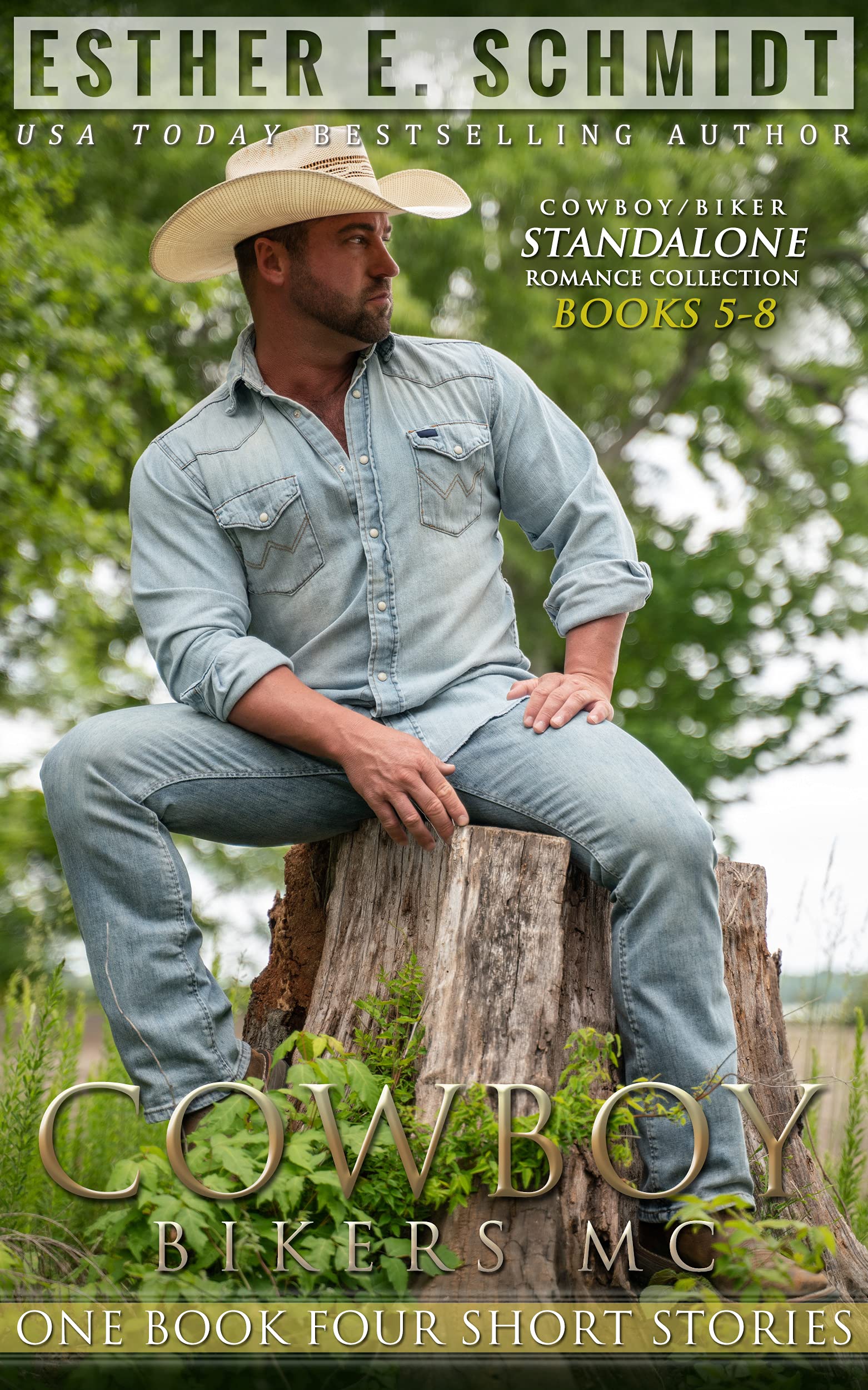Cowboy Bikers MC book cover