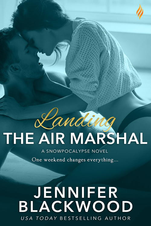 Snowpocalypse book cover 1