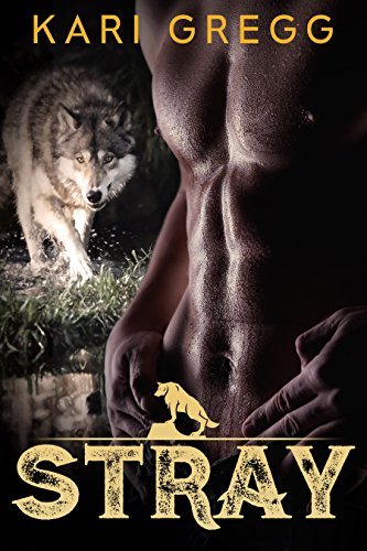 Stray book cover