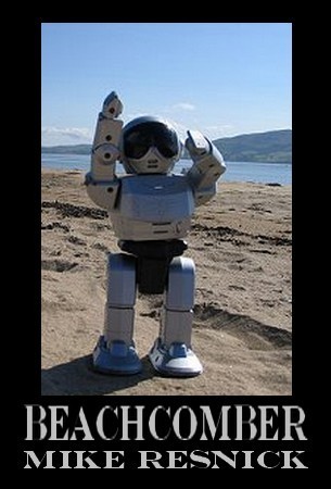 Beachcomber book cover