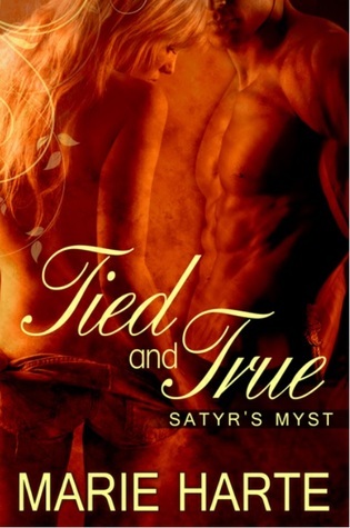 Satyr's Myst book cover 1