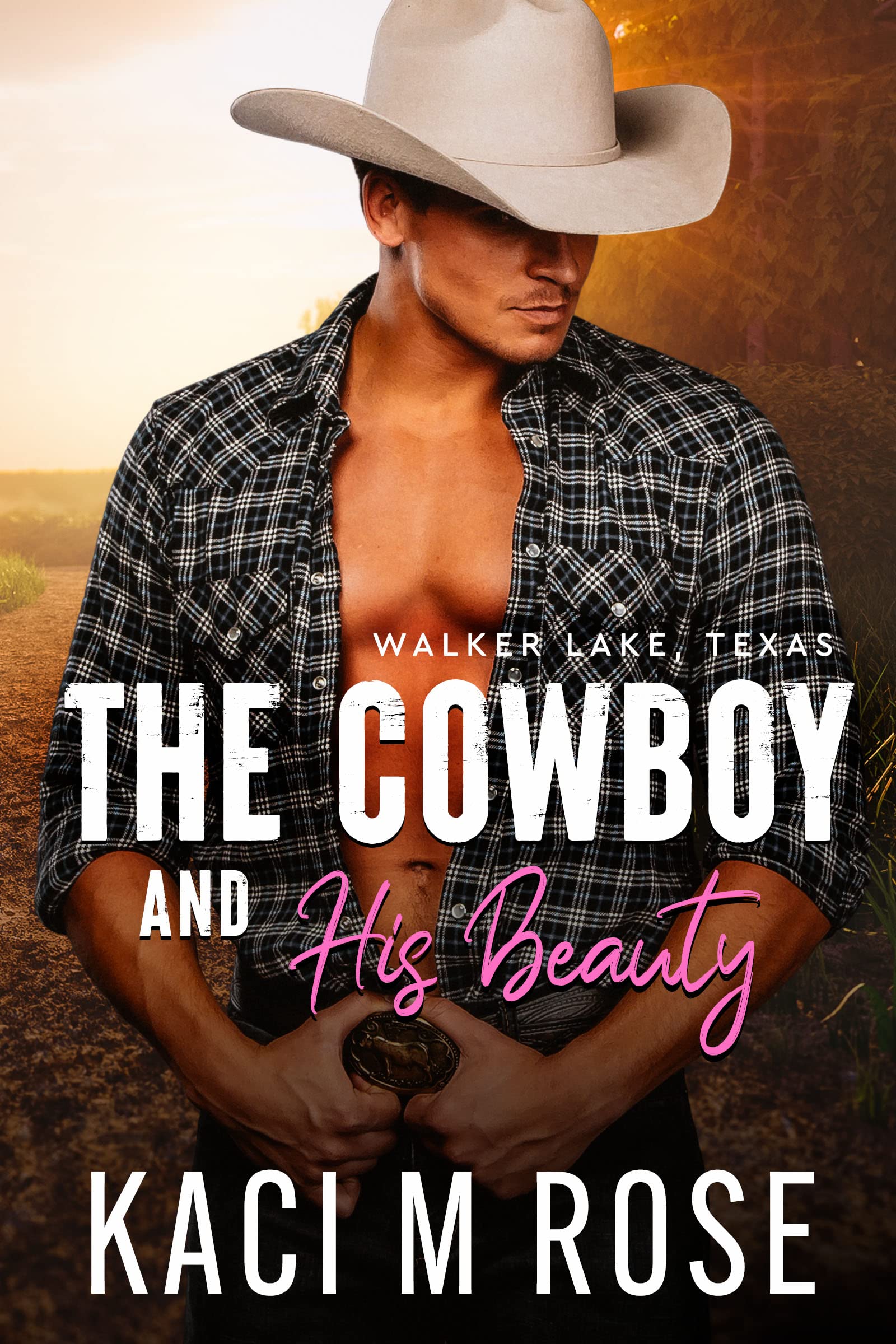 The Cowboy and His Beauty book cover