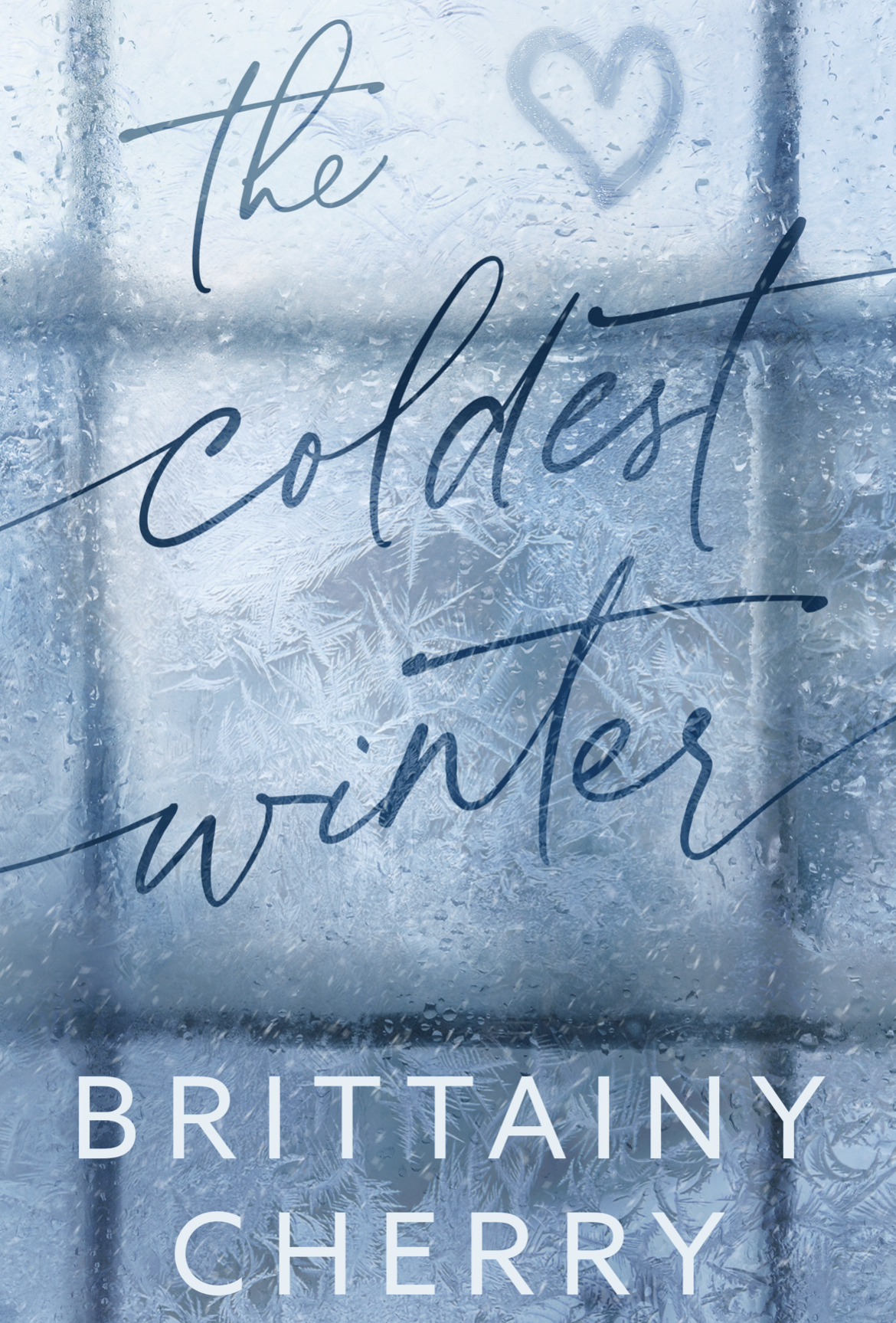 The Coldest Winter book cover