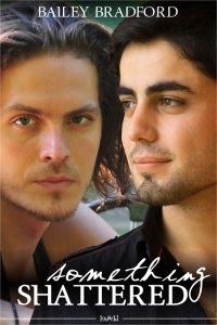 Something Shattered book cover