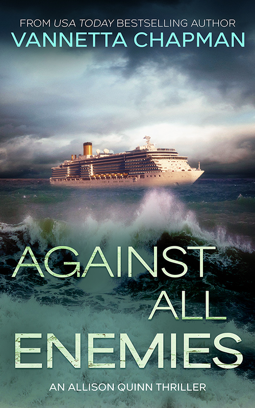 Allison Quinn book cover 2