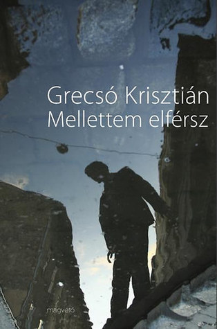 Mellettem elférsz book cover