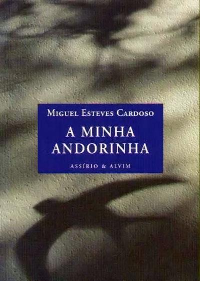 A minha andorinha book cover