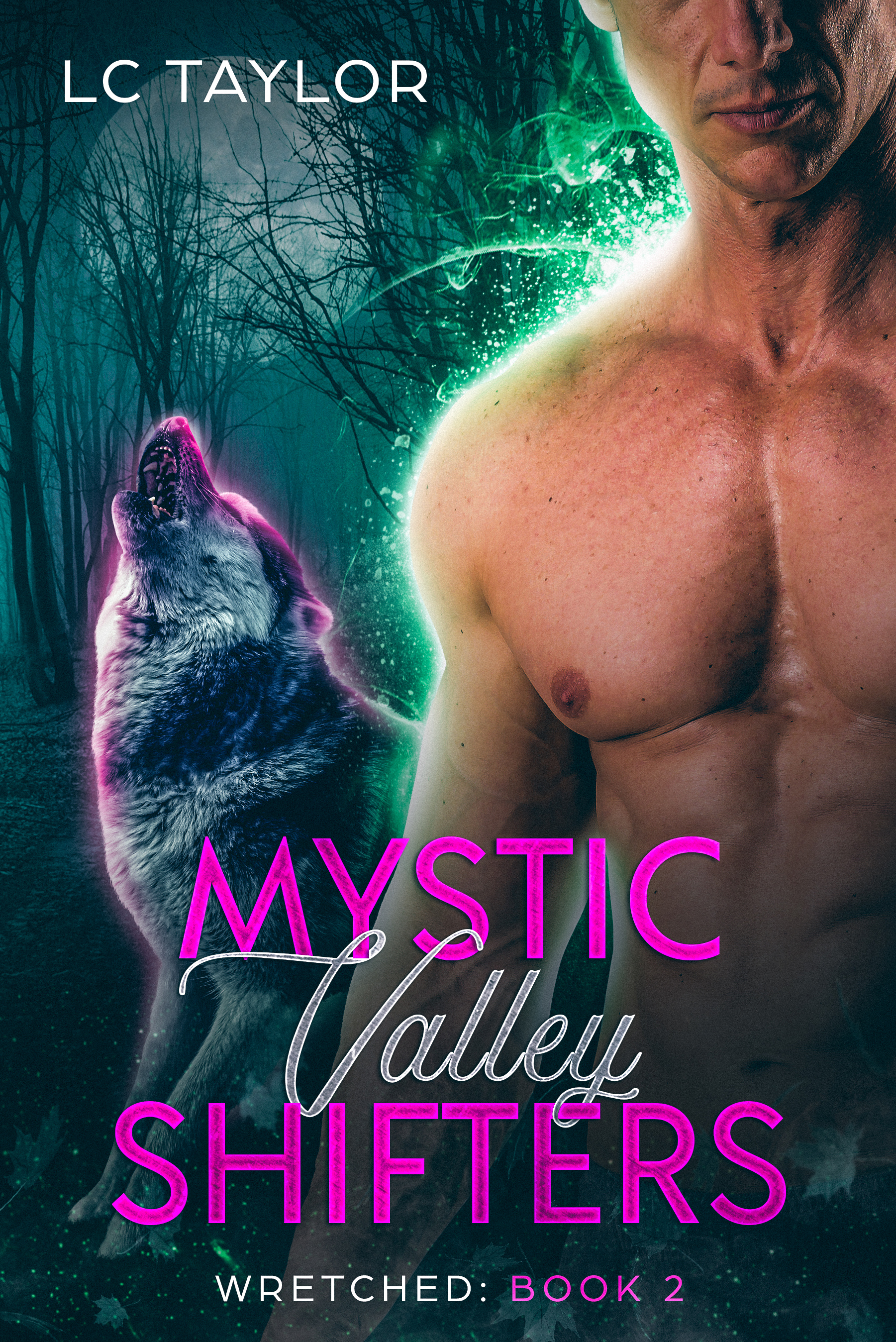 Mystic Valley Shifters book cover 2