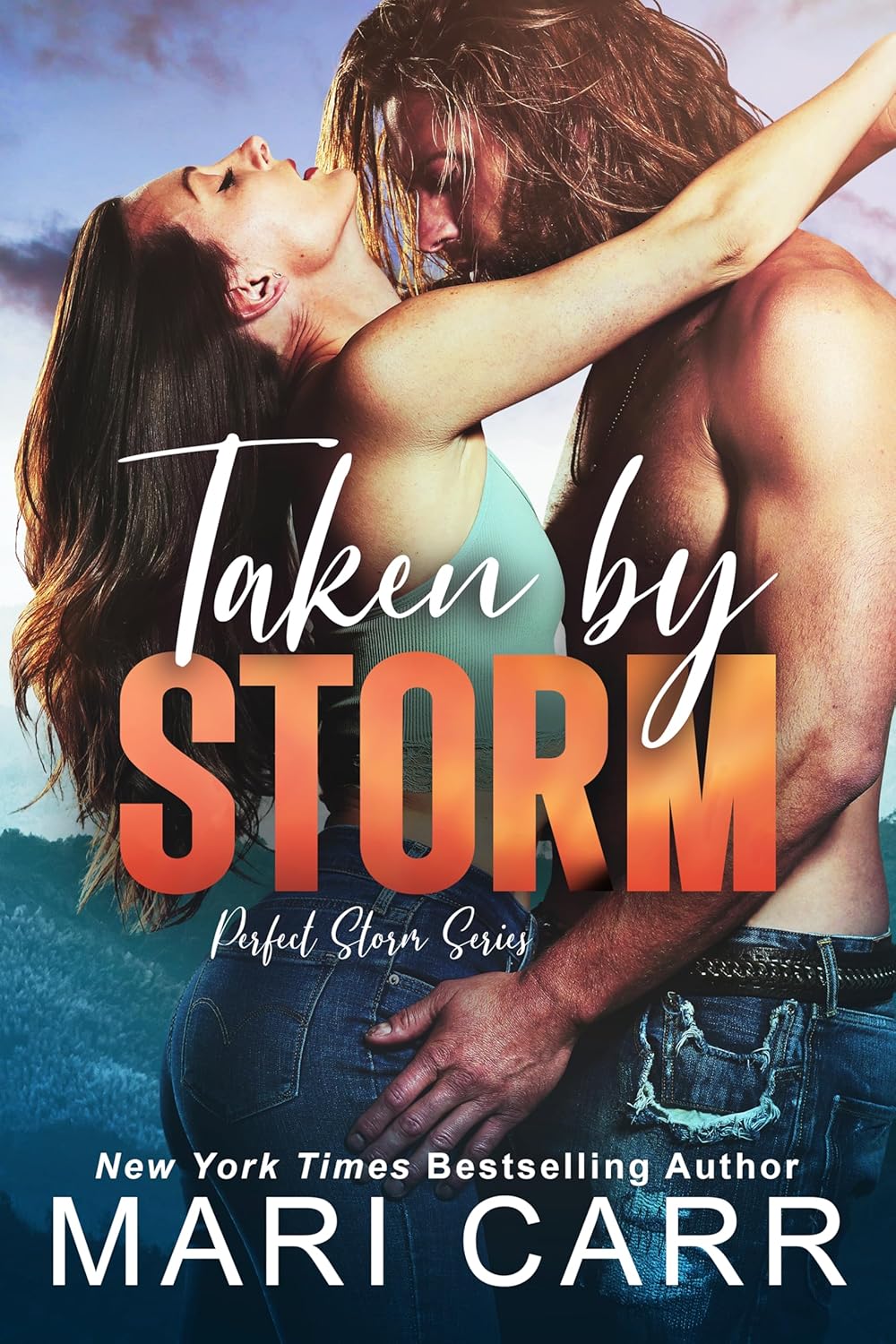 Perfect Storm book cover 1