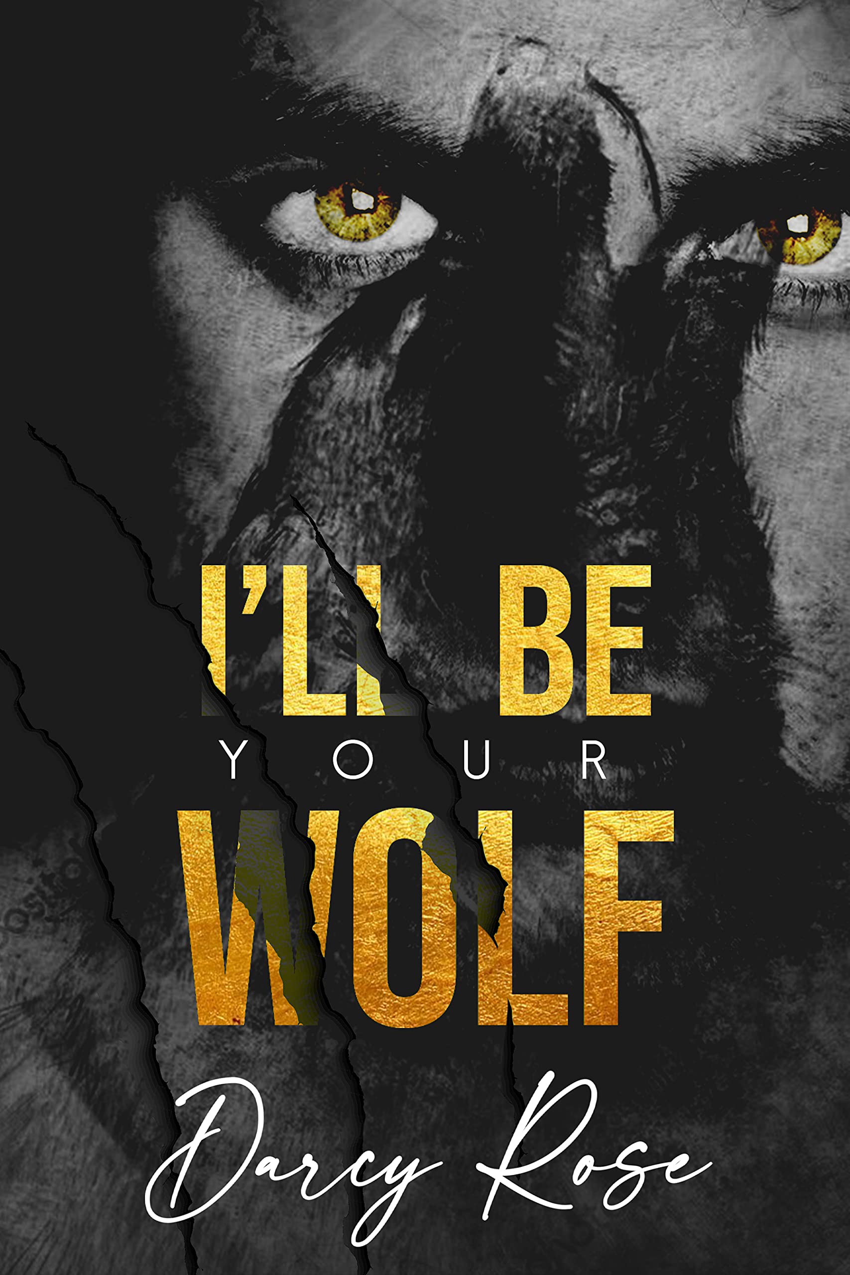 I'll Be Your Wolf book cover