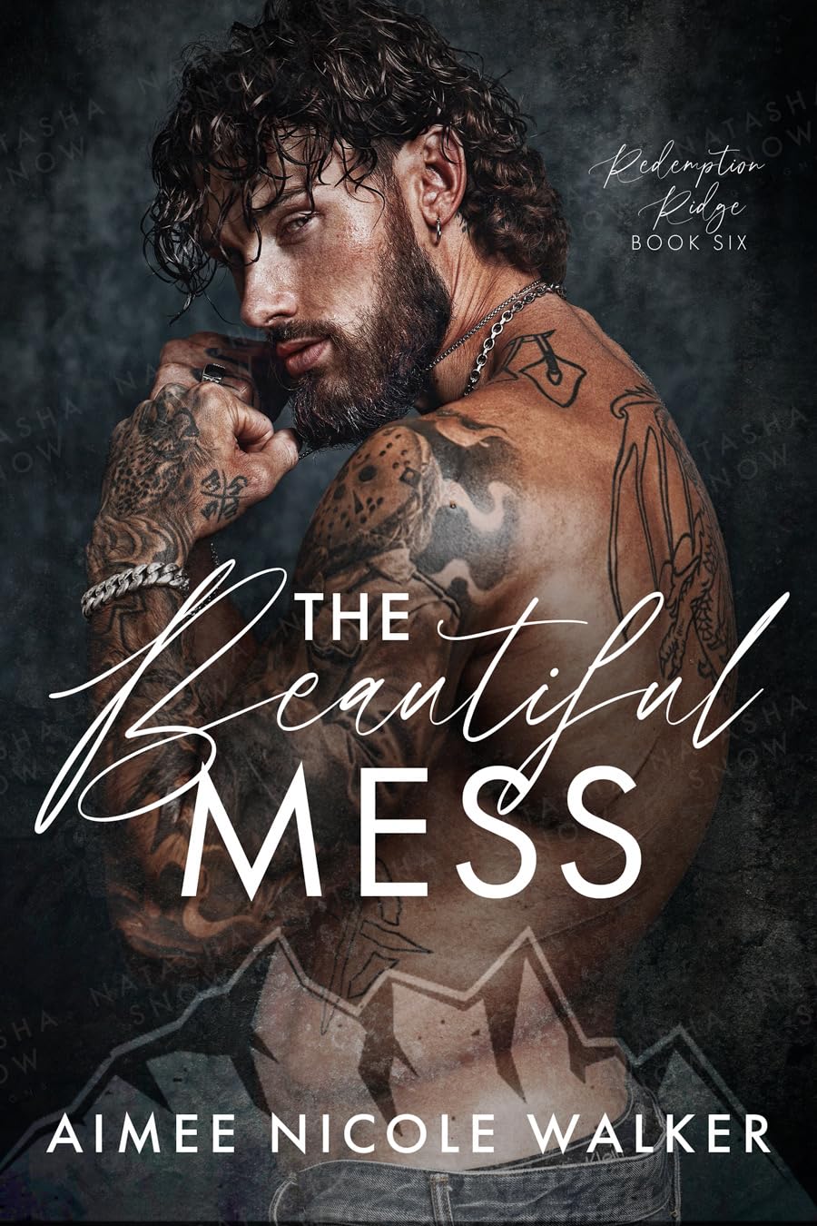 The Beautiful Mess book cover