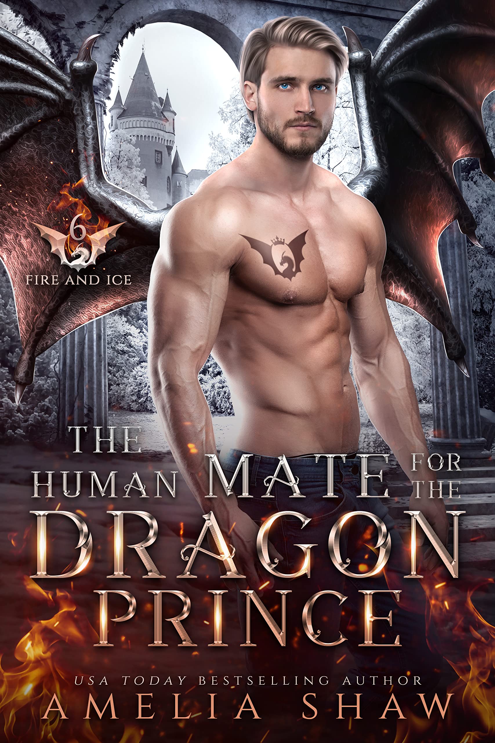 The Human Mate for the Dragon Prince book cover