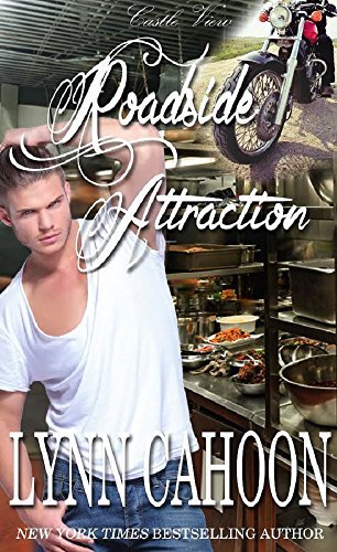 Castle View book cover 2