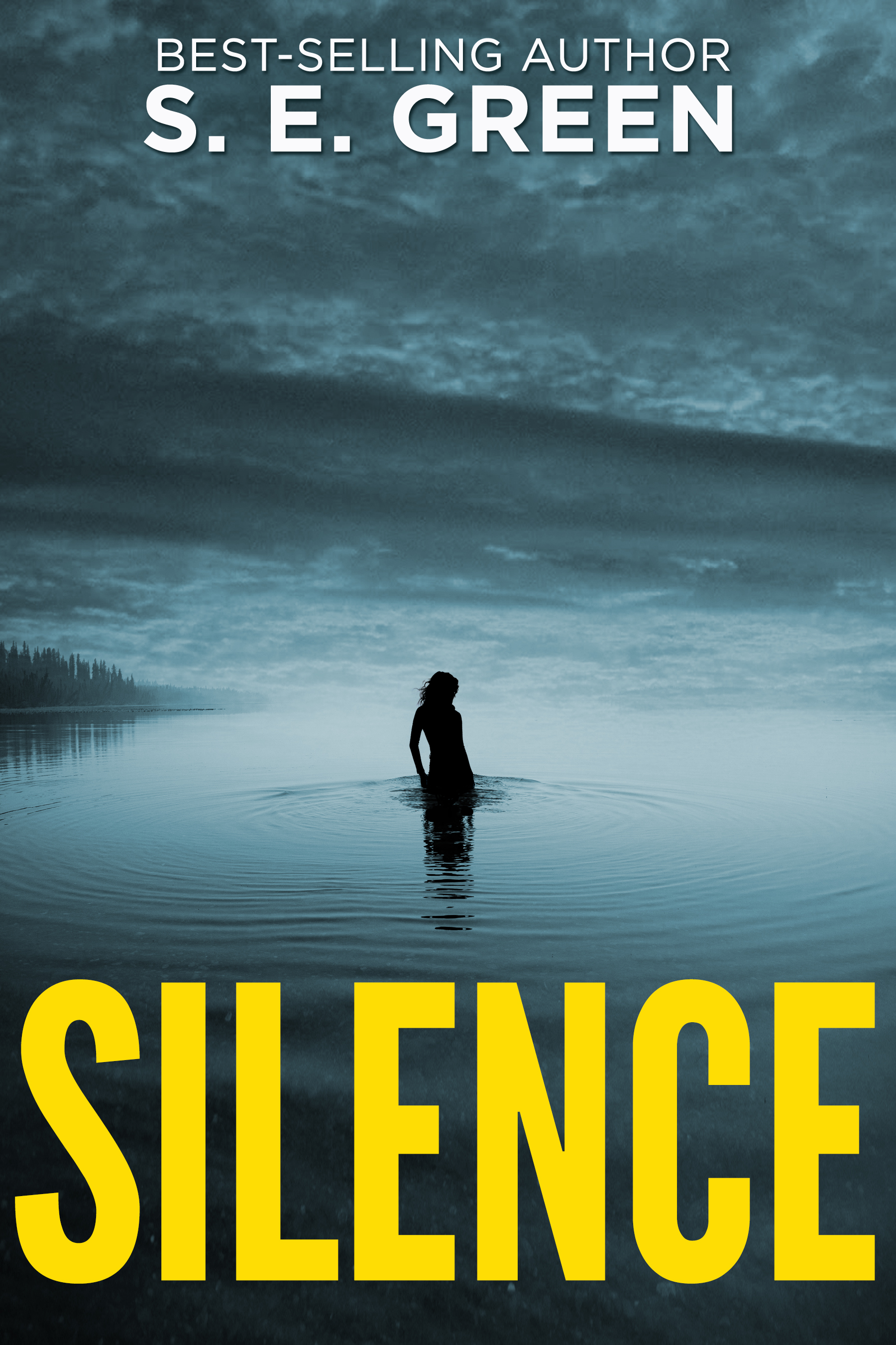 Nell Brach book cover 1
