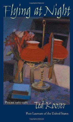 Flying At Night book cover
