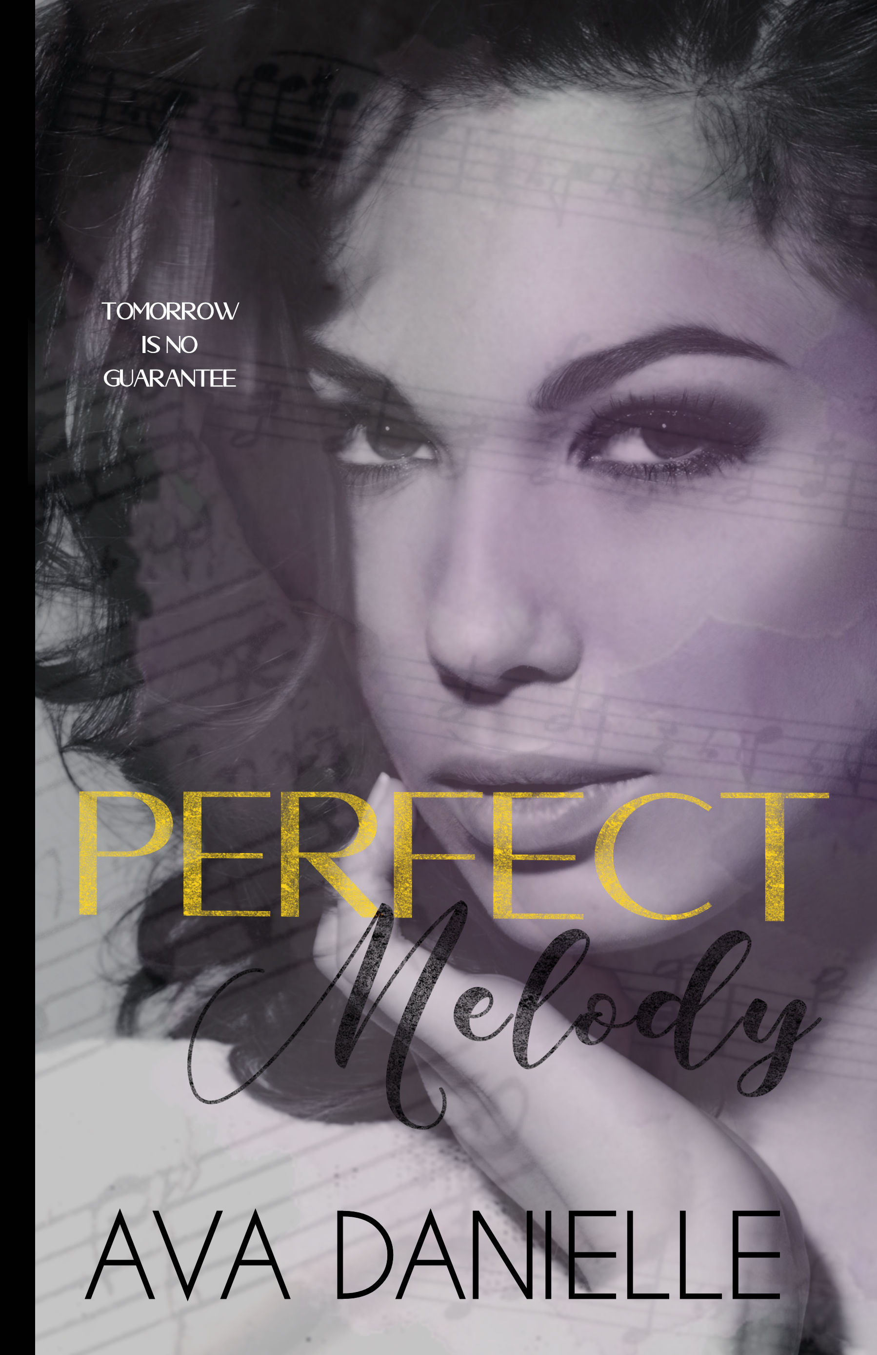 Perfect Melody book cover 1