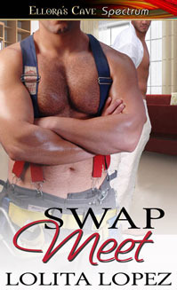 Swap Meet book cover