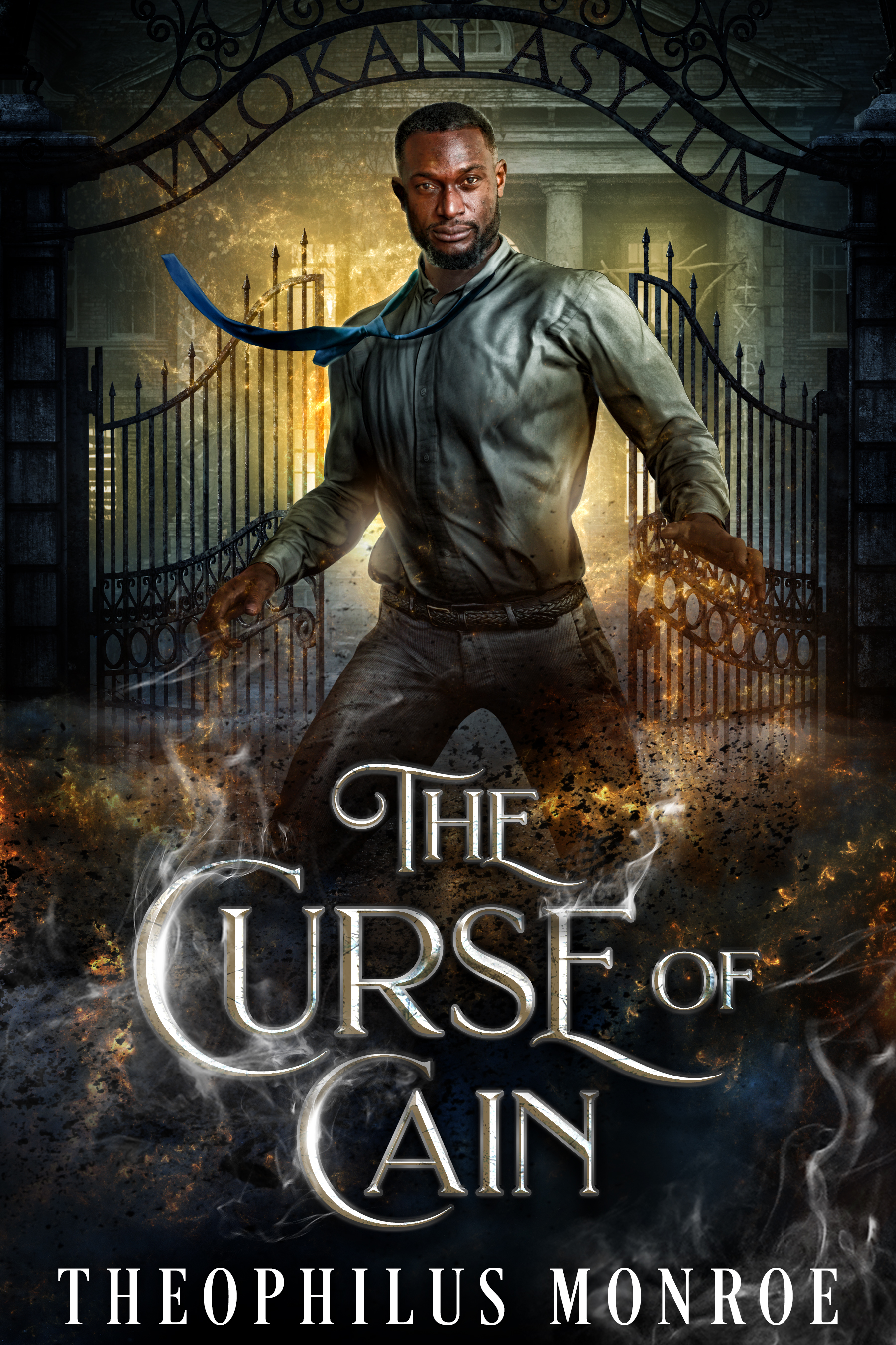 The Vilokan Asylum of the Magically and Mentally Deranged book cover 1